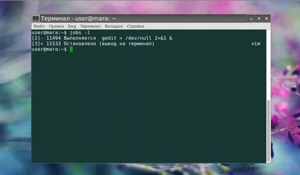 Фоновые процессы в Linux: как освободить терминал и не потерять задачи