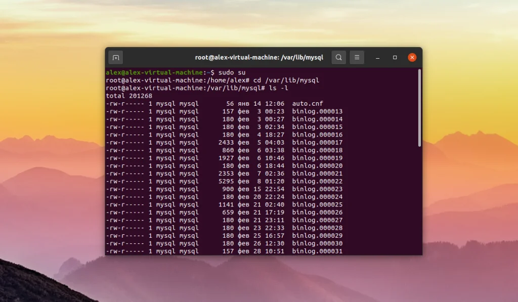 Тайная комната MySQL: Где ваш сервер прячет все данные?