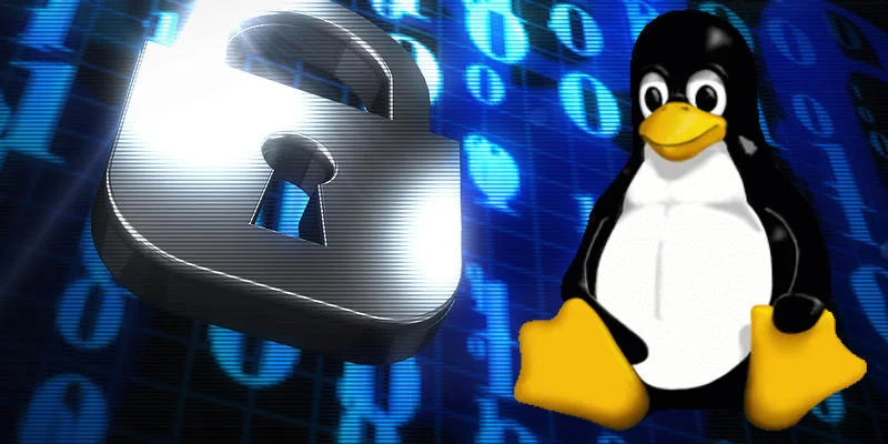Linux или Mac: какая ОС победит в битве за ваше рабочее пространство?