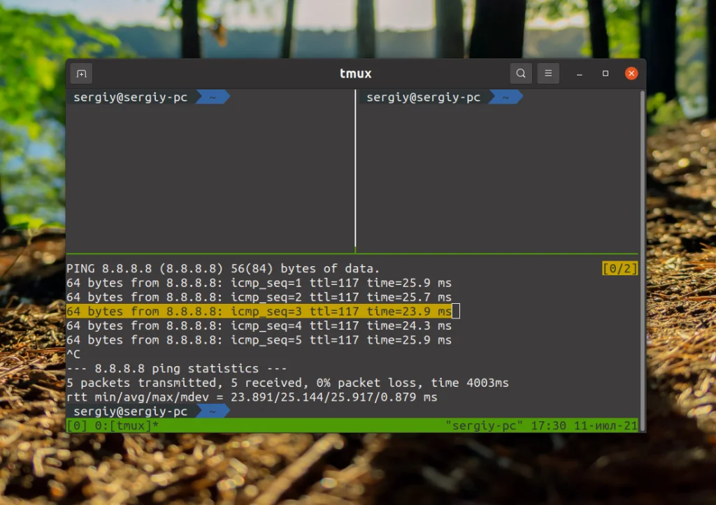 Копирование в Linux-терминале: хитрости для новичков и профи