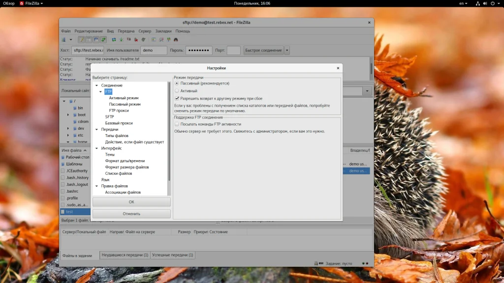 FileZilla: Полное руководство по работе с FTP-клиентом для начинающих