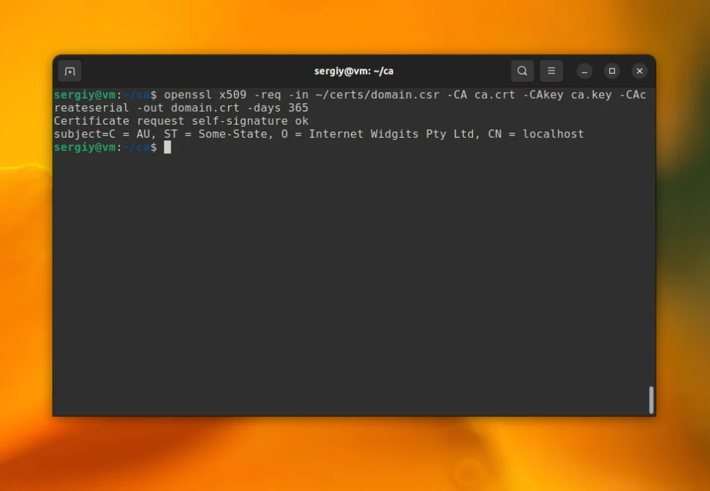 OpenSSL: Полное руководство по созданию SSL-сертификатов с нуля