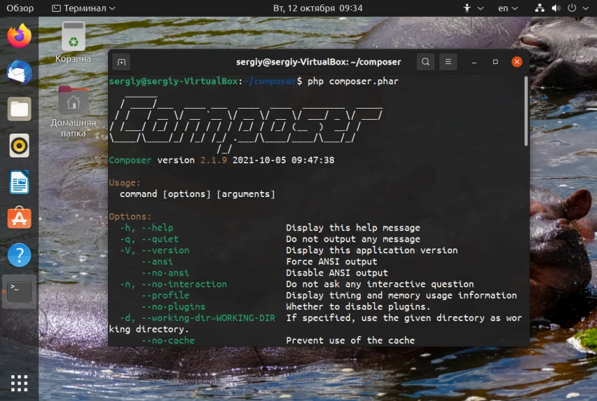 Composer в Ubuntu 20.04: Полное руководство по установке и работе с менеджером зависимостей PHP