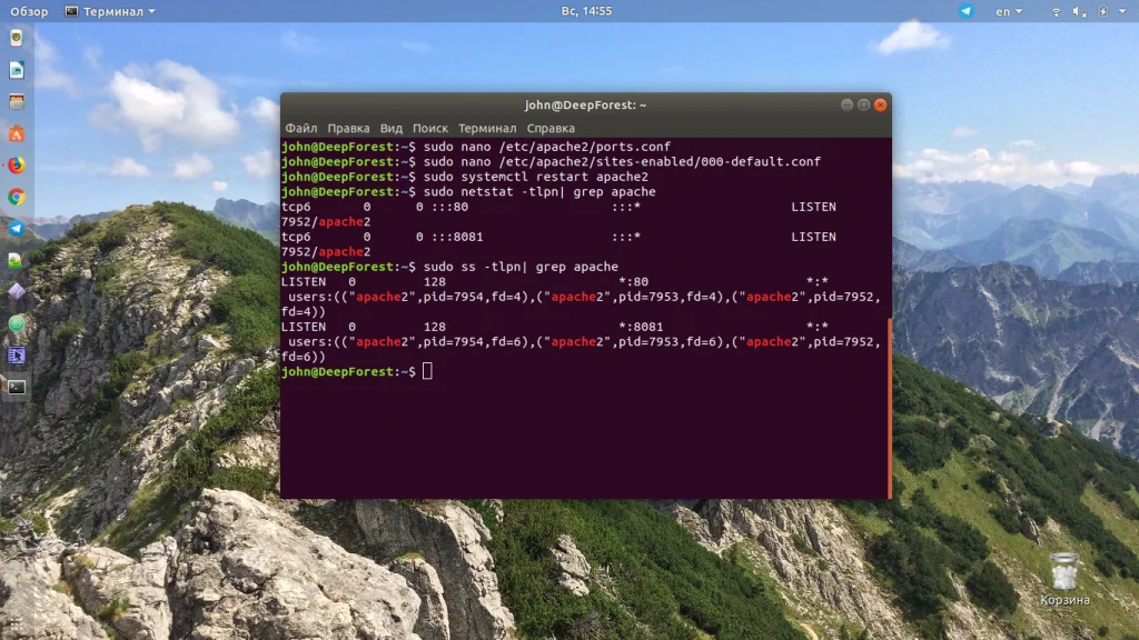 Смени порт Apache за 5 минут: полный гайд для Ubuntu и CentOS