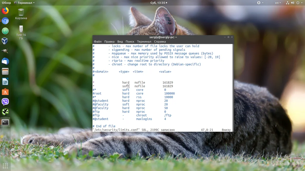 Слишком много файлов в Linux: как снять ограничение и забыть об ошибке