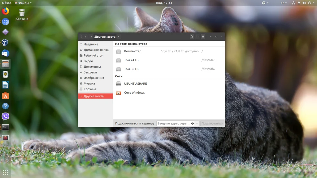 Общий доступ между Ubuntu и Windows: настраиваем Samba за 15 минут