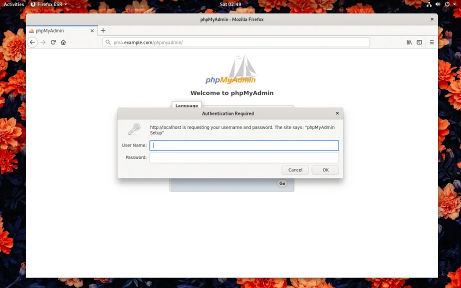 Управляй базами данных Debian 10 легко: Полная установка phpMyAdmin