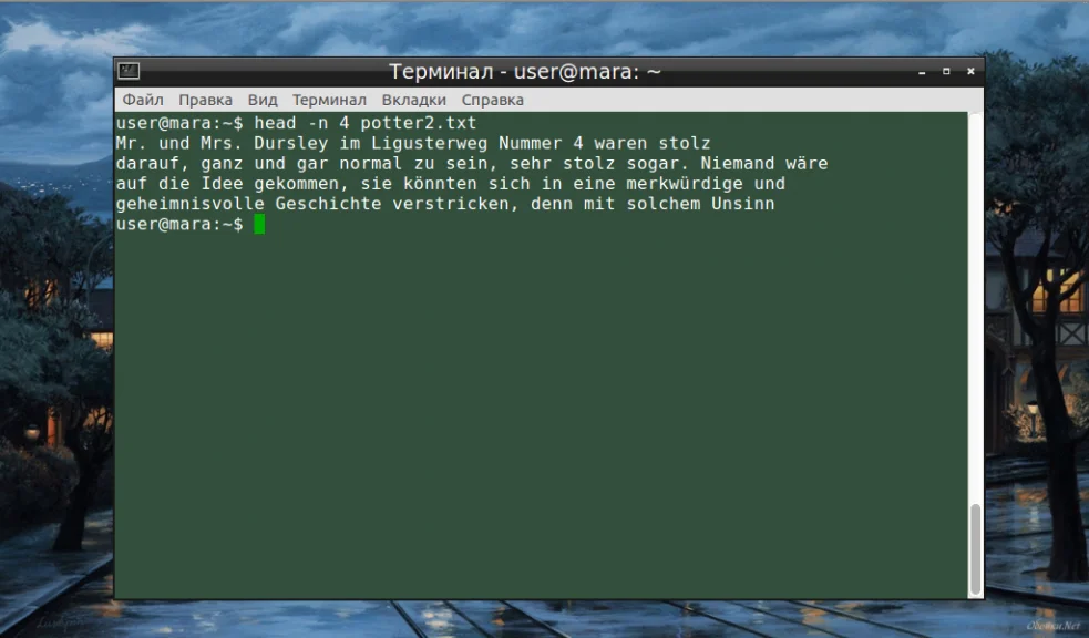 Head в Linux: как быстро просмотреть начало файла и скрытые возможности команды