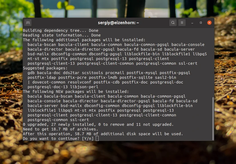 Bacula: Настройте надежное резервное копирование на Linux за 6 шагов