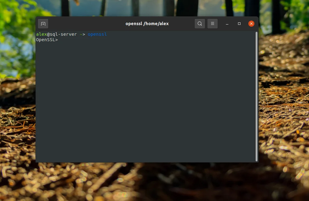PhpMyAdmin на Ubuntu 20.04: Полная инструкция по установке и настройке с Nginx