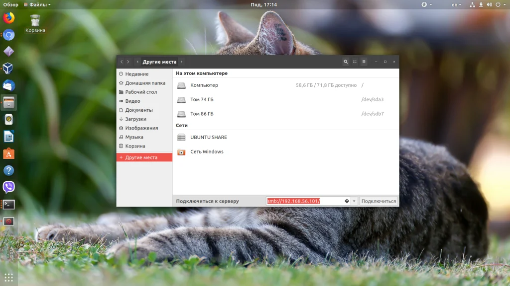 Общий доступ между Ubuntu и Windows: настраиваем Samba за 15 минут