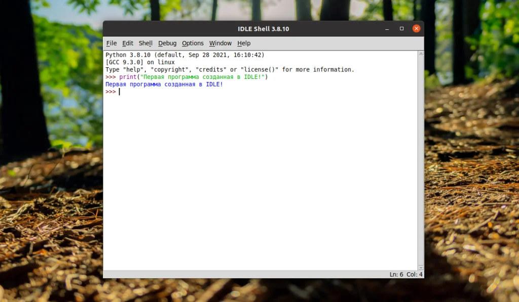 Запускаем IDLE для Python в Ubuntu 20.04: Быстрая установка и первая программа