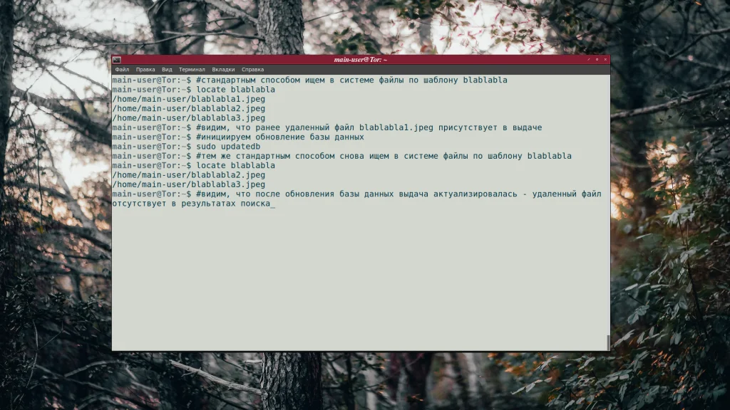 Найдите любой файл в Linux за секунды: Полное руководство по команде locate