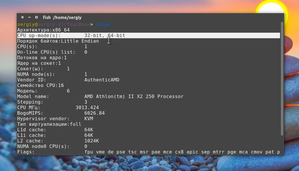 Ubuntu: Какую версию скачать, чтобы всё летало? Полный гид по выбору