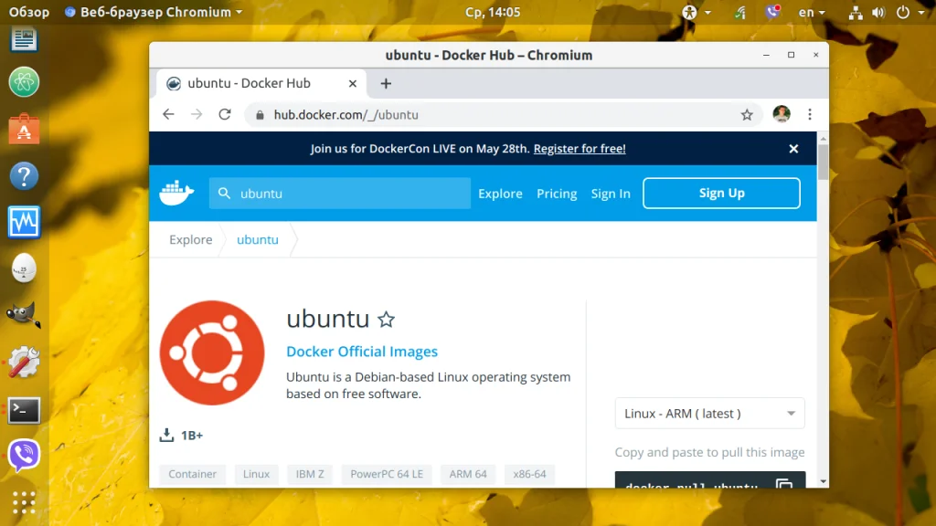 Docker: Полное руководство по запуску контейнеров с нуля