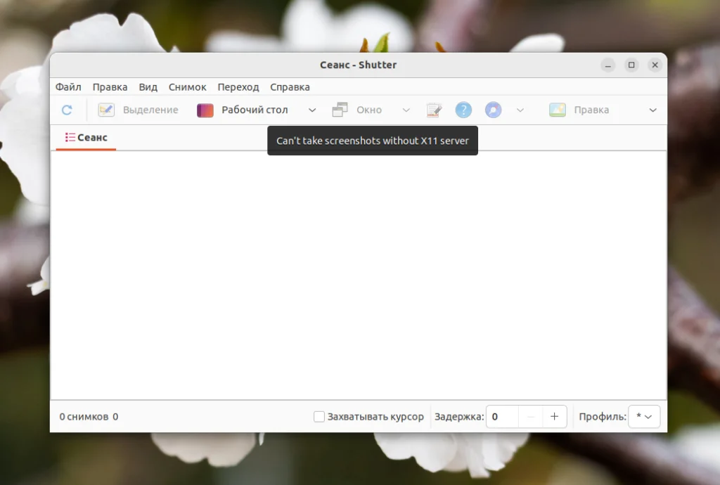 Захватываем экран Ubuntu: 2 способа сделать идеальный скриншот