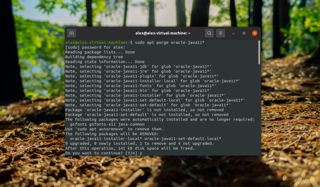 Чистим Ubuntu от Java: полный гайд по удалению