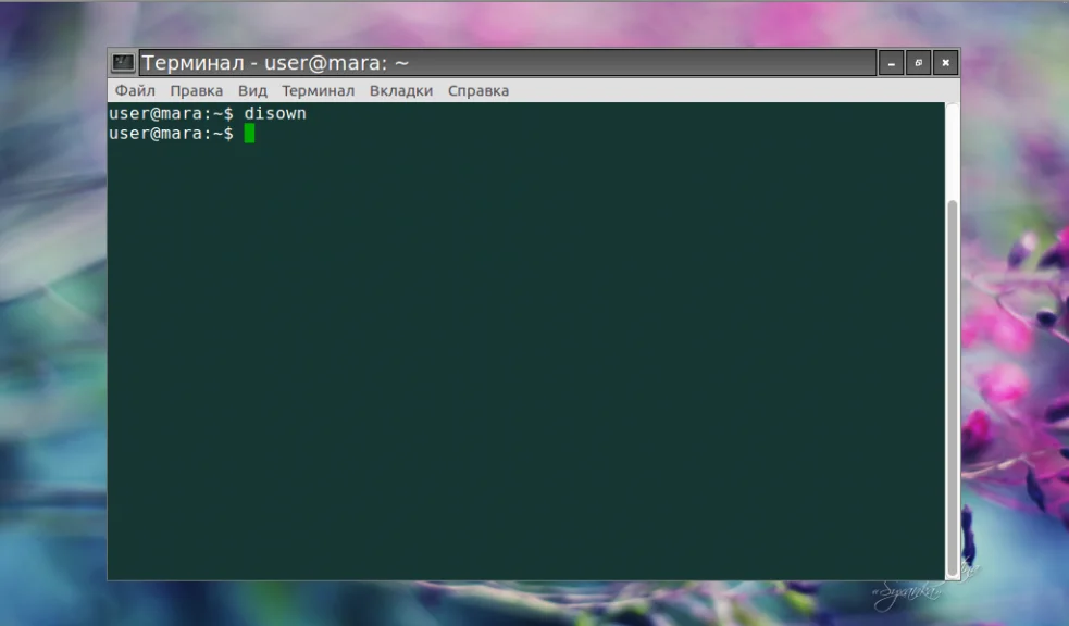 Фоновые процессы в Linux: как освободить терминал и не потерять задачи