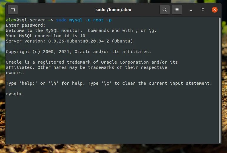 LAMP на Ubuntu 20.04: Полное руководство по установке и настройке веб-сервера