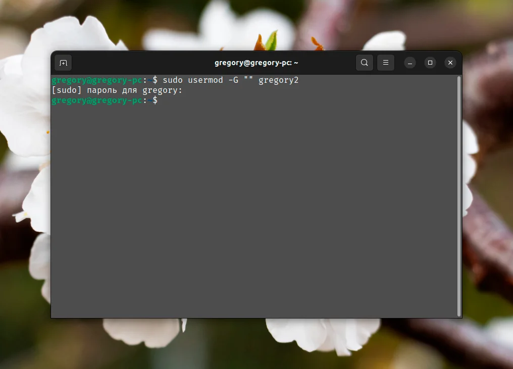 Usermod: Полный контроль над пользователями Linux в ваших руках