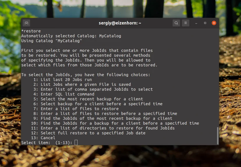 Bacula: Настройте надежное резервное копирование на Linux за 6 шагов