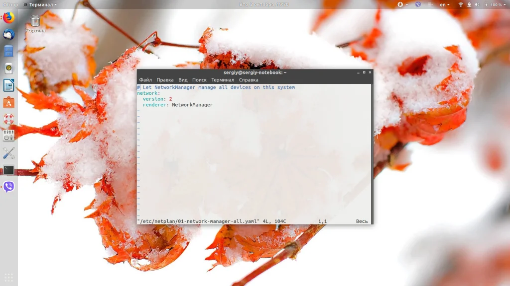 Netplan Ubuntu: Полное руководство по настройке сети за 5 минут