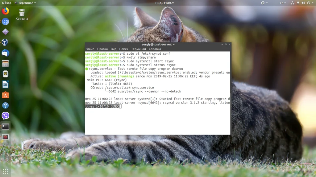 Rsync: Полное руководство по синхронизации файлов с примерами команд