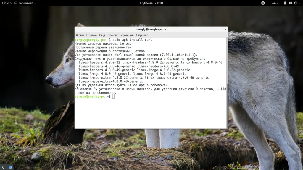 Ruby на Ubuntu: 3 рабочих способа установить последнюю версию