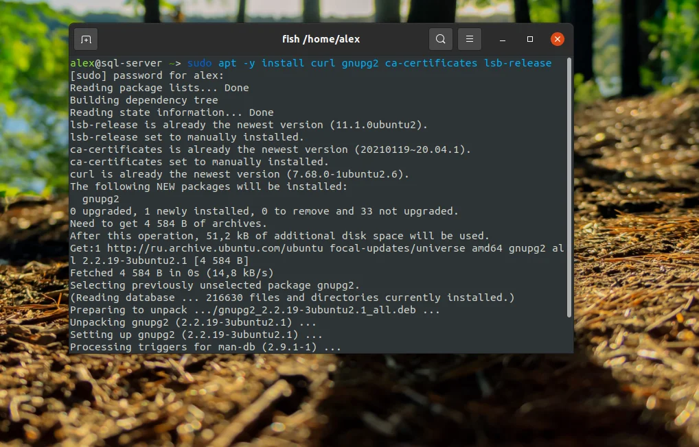 Nginx + PHP-FPM на Ubuntu 20.04: Полное руководство по настройке мощного связующего звена