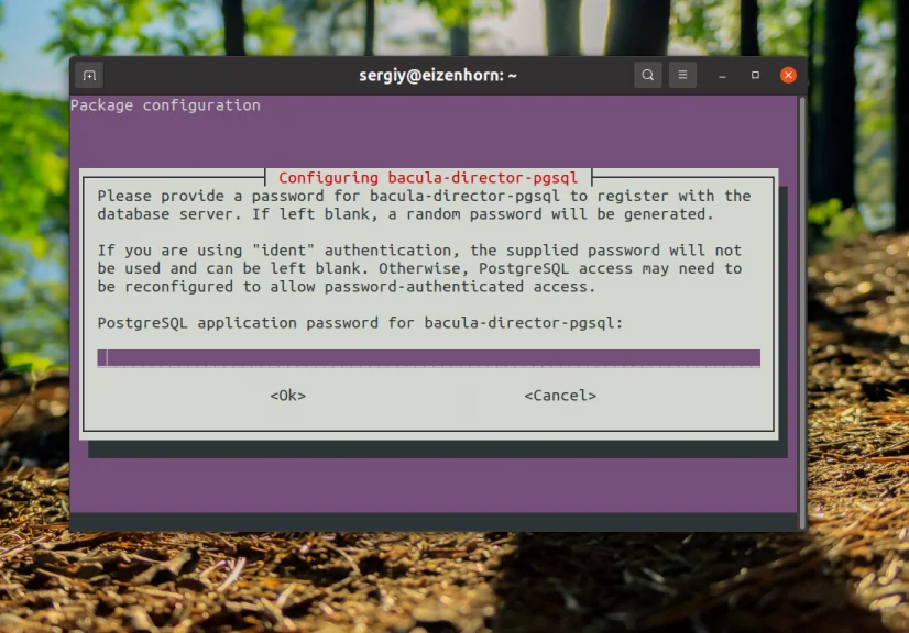 Bacula: Настройте надежное резервное копирование на Linux за 6 шагов