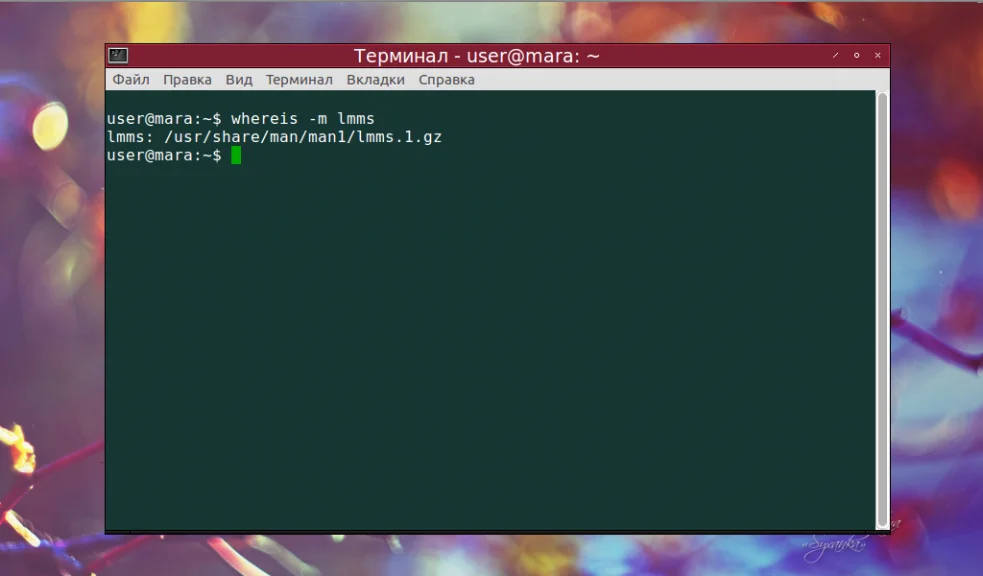 Whereis в Linux: Как быстро найти любой файл или команду в системе