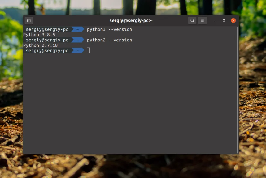 Python 3 на Ubuntu: Установи последнюю версию за 5 минут!