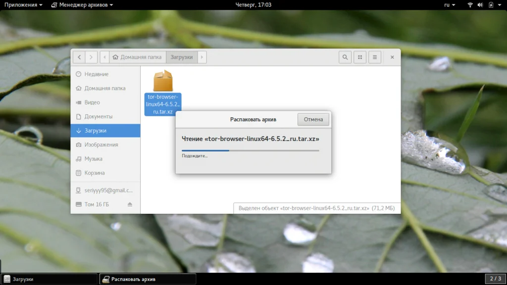 Tor Browser: Полная инструкция по анонимности в сети для каждого