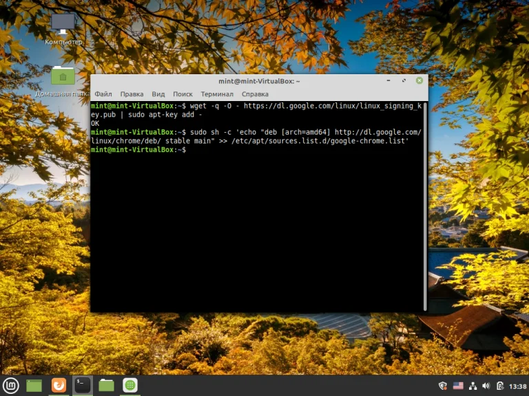 Установи Google Chrome в Linux Mint: 3 рабочих способа для уверенных пользователей