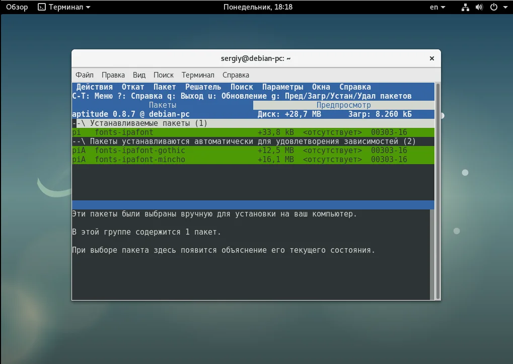 Debian: Полное руководство по установке программ для новичков и профи