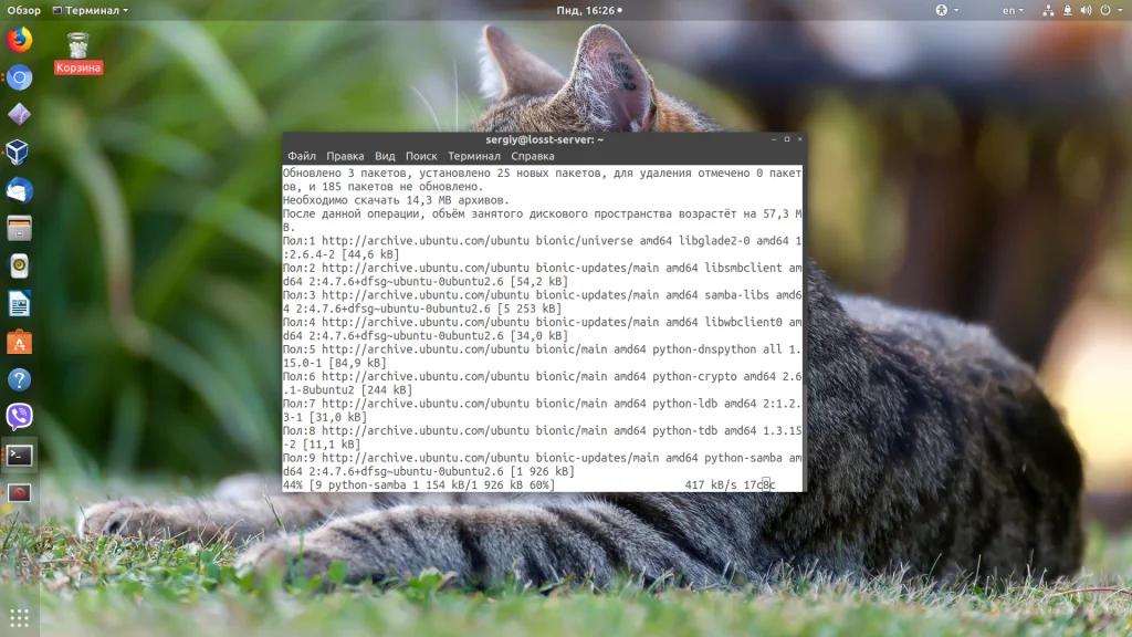 Общий доступ между Ubuntu и Windows: настраиваем Samba за 15 минут