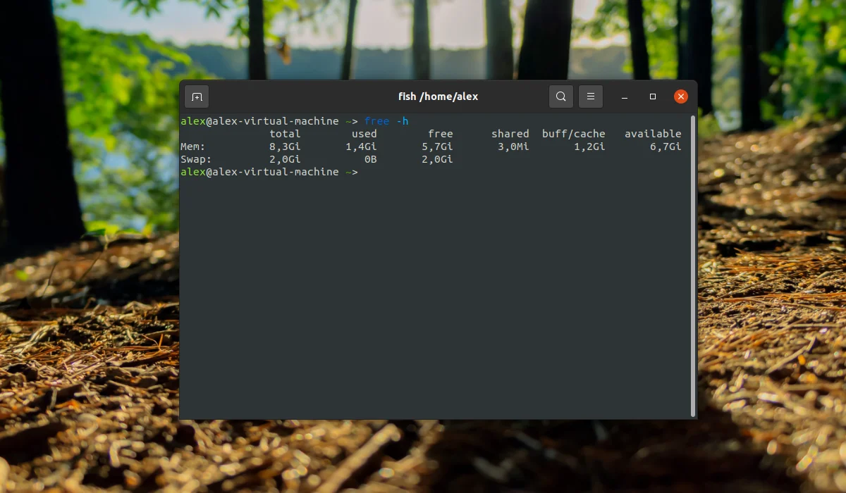 Ubuntu тормозит? Увеличьте производительность за 5 минут с помощью Swap!