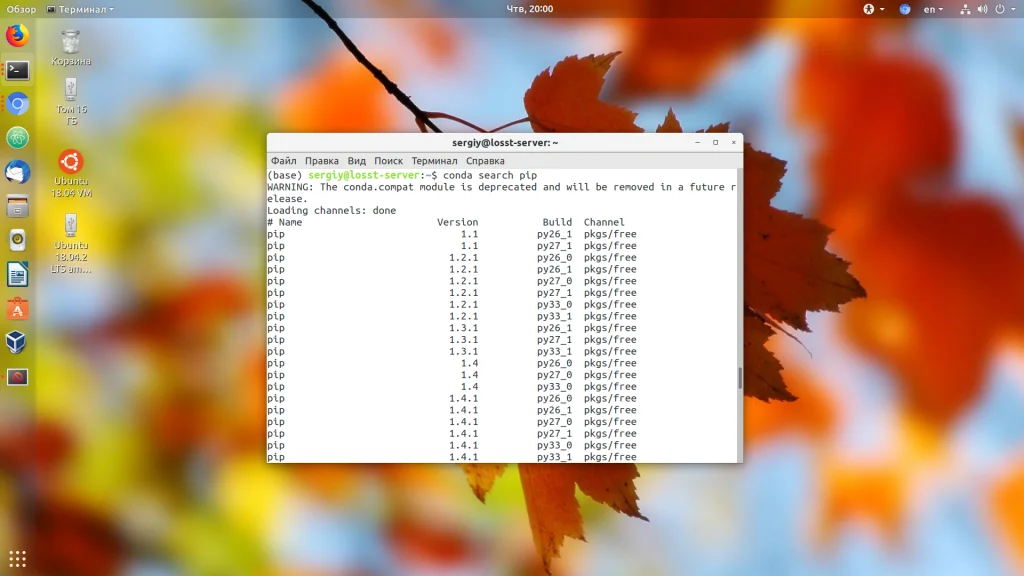 Anaconda в Ubuntu: Полный гайд по установке и настройке для Python-разработки