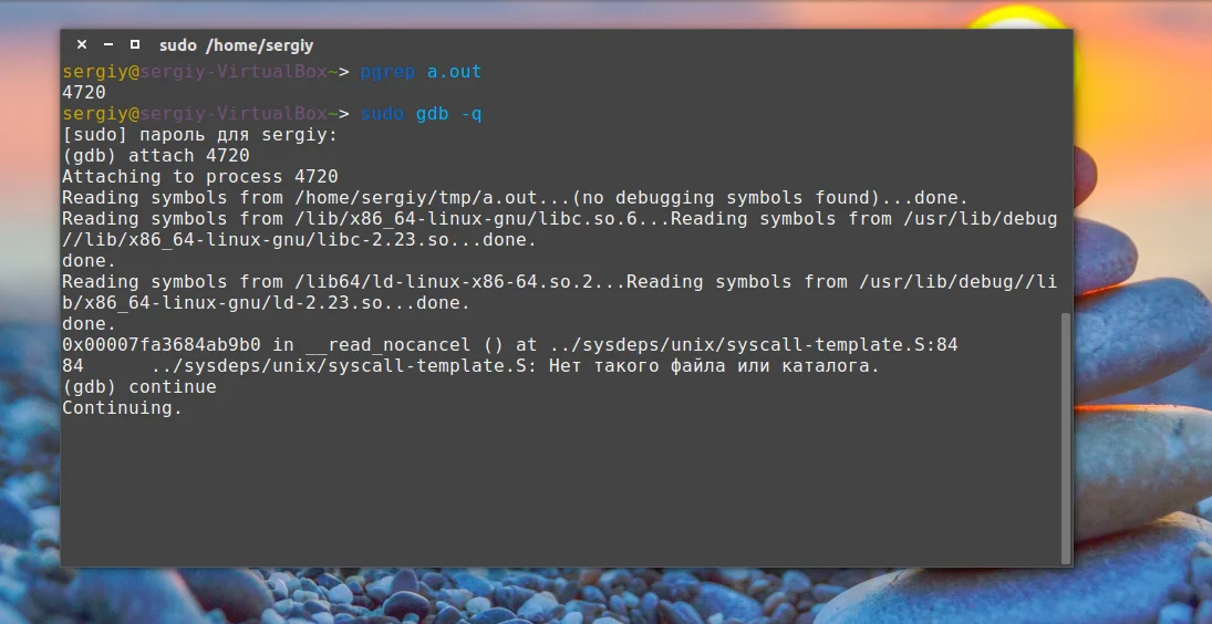 Segmentation fault в Ubuntu: как найти и исправить ошибку сегментирования