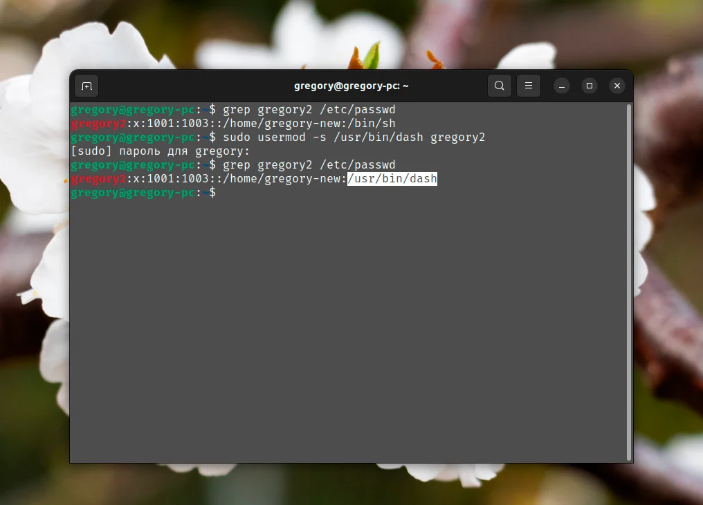 Usermod: Полный контроль над пользователями Linux в ваших руках
