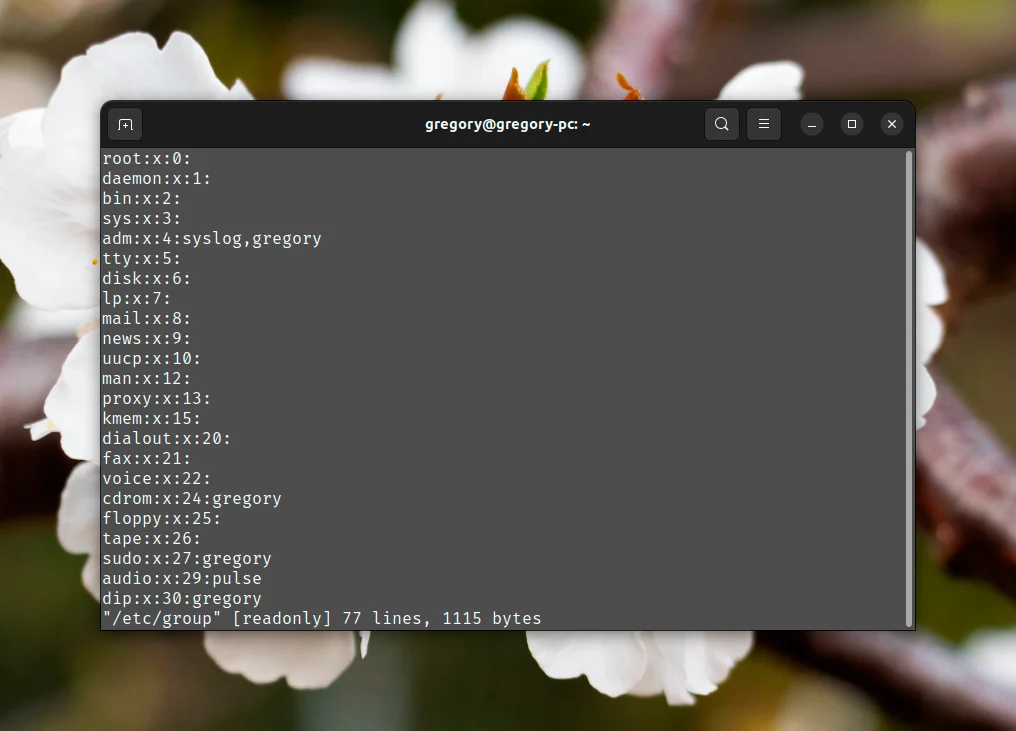 Usermod: Полный контроль над пользователями Linux в ваших руках