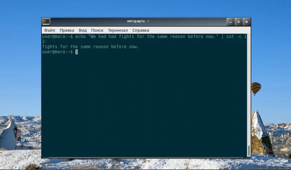 Команда cut в Linux: как легко вырезать нужные части текста