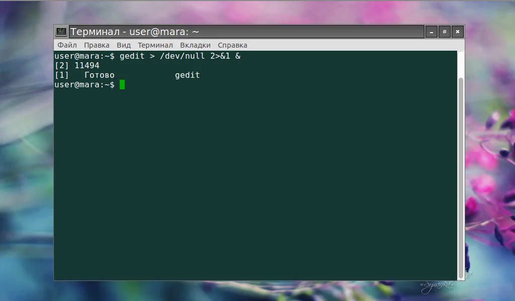Фоновые процессы в Linux: как освободить терминал и не потерять задачи