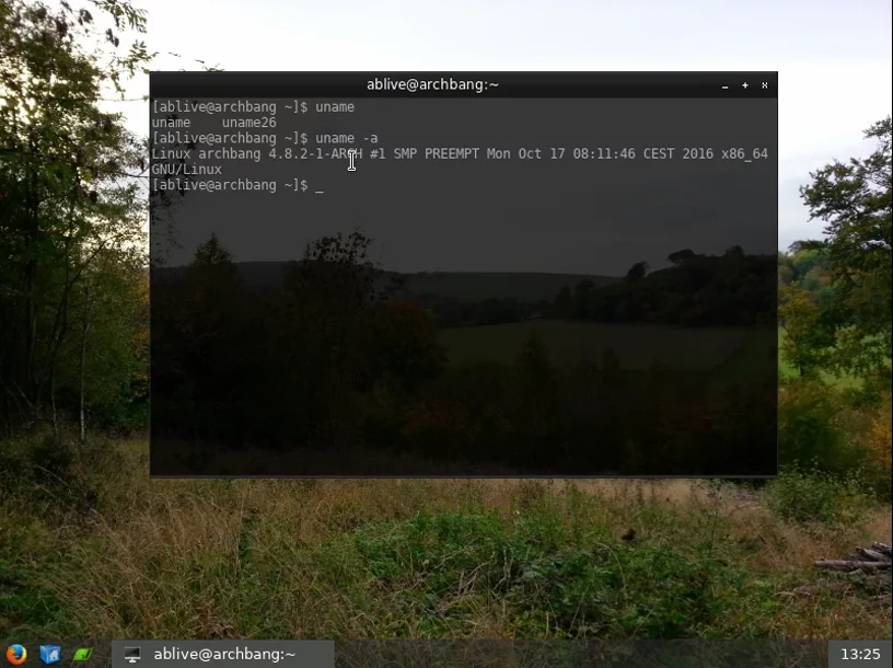 ArchBang Linux: Быстрая установка и полный контроль