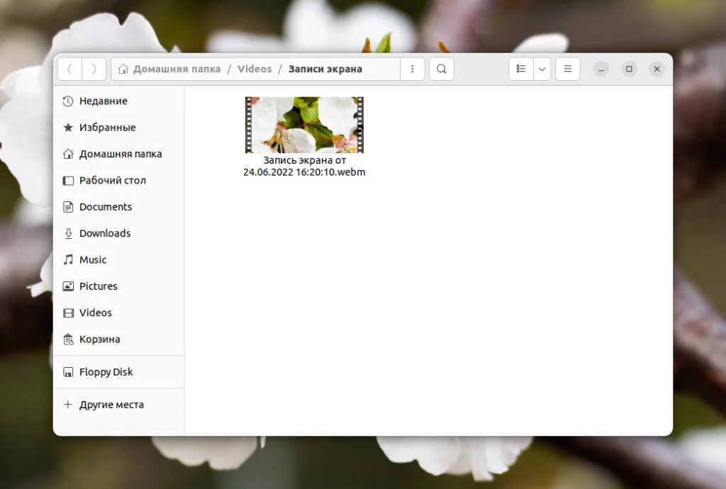 Захватываем экран Ubuntu: 2 способа сделать идеальный скриншот