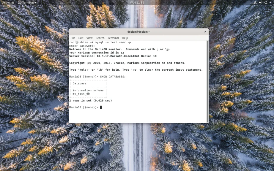 MariaDB на Debian 10: Полное руководство по установке и настройке для вашего сервера