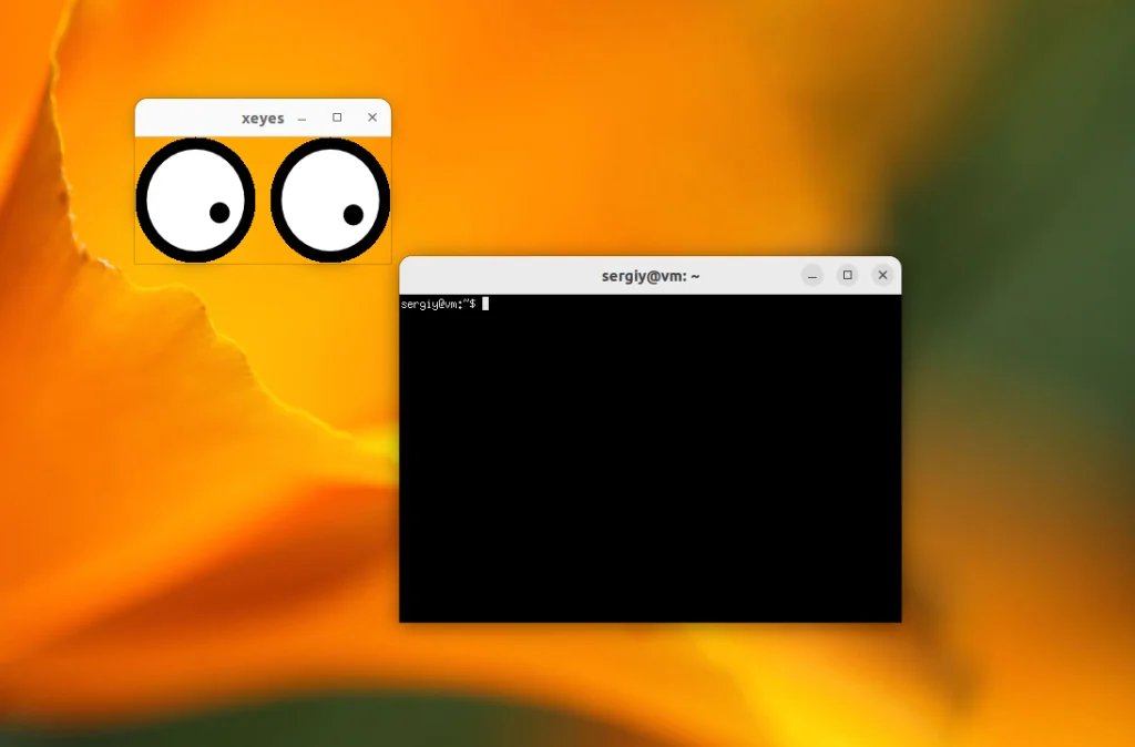 Wayland или X11: Как быстро определить, что работает в вашем Linux