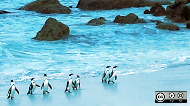 Linux: стоит ли переходить? 15 плюсов и 4 главных минуса
