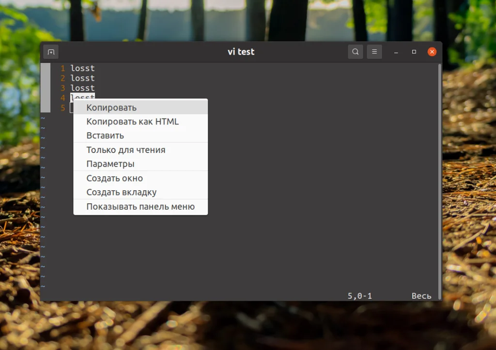 Копирование в Linux-терминале: хитрости для новичков и профи