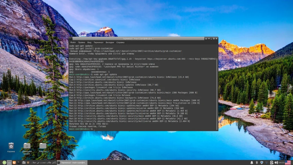 Grub Customizer: Преобразите скучный экран загрузки Linux Mint за 5 минут